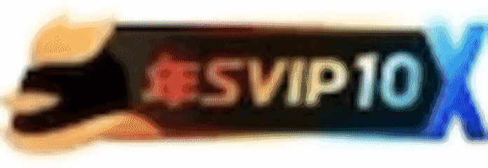 等级-LV11-极星のBlog
